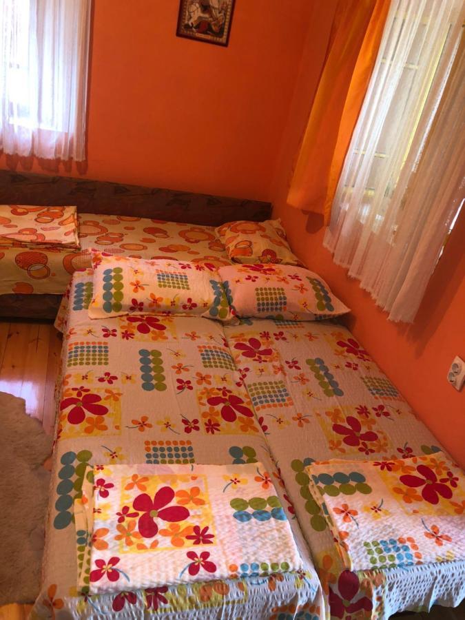Ethno House Ivanovic ヴィルパザル エクステリア 写真