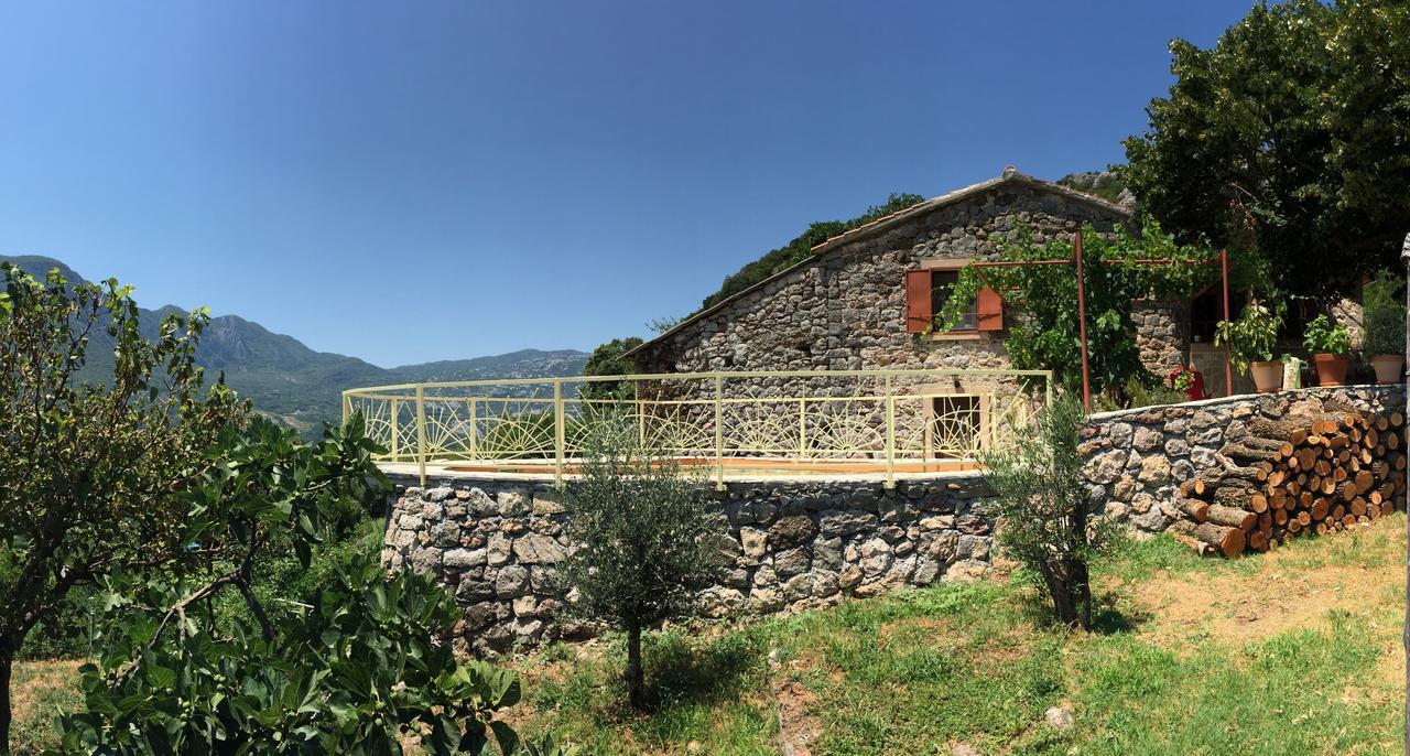 Ethno House Ivanovic ヴィルパザル エクステリア 写真